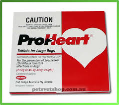 best heartworm medicine for dogs best heartworm medicine for dogs