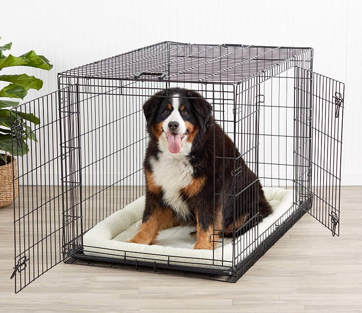amazon basics single door and double door folding metal dog crate