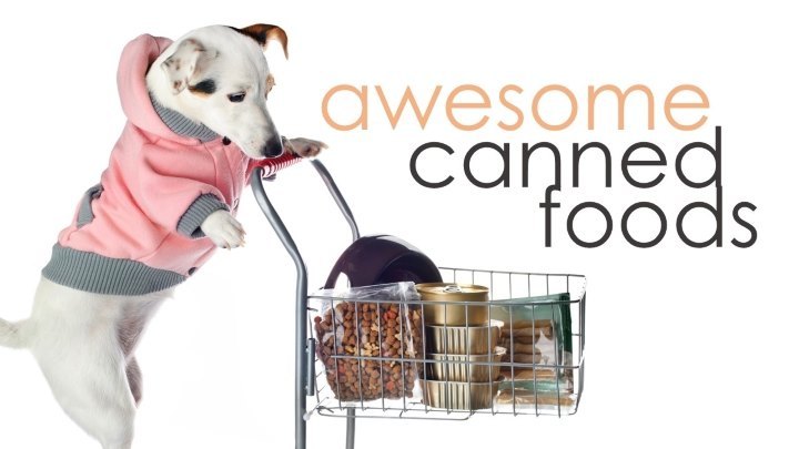 What is the best canned dog foods