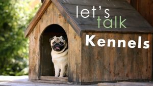 Best dog kennels