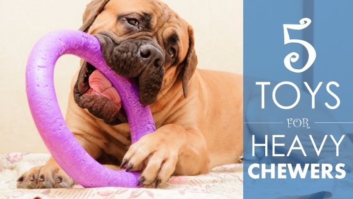 safe chew toys for puppies