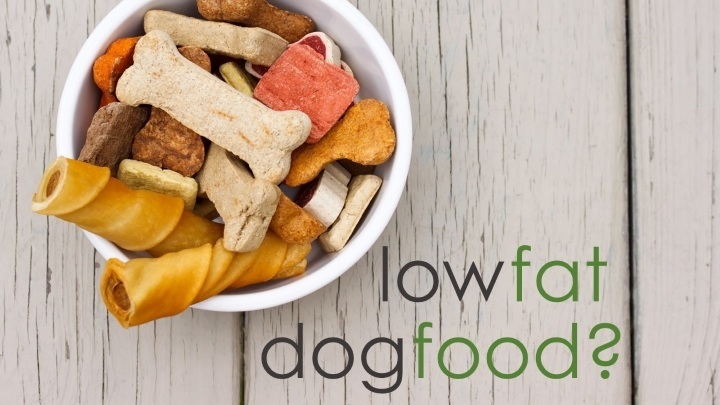  4 Best Low Fat Dog Foods Our Top Picks 2019 Here Pup