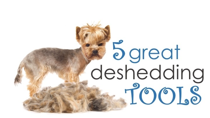 What Is the Best Deshedding Tool for Dogs