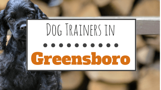 Dog trainers in Greensboro NC