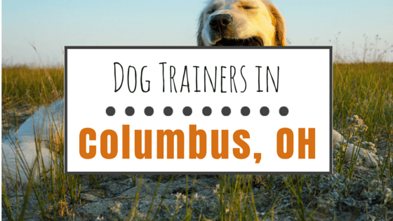 Dog trainers in columbus ohio