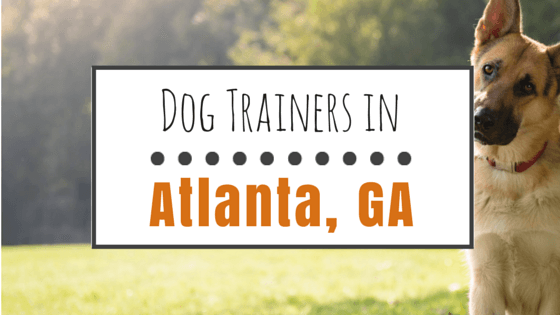 Dog Trainers in Atlanta Georgia