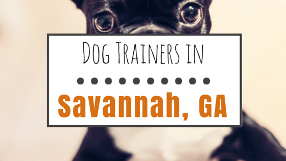 Dog trainers in Savannah GA