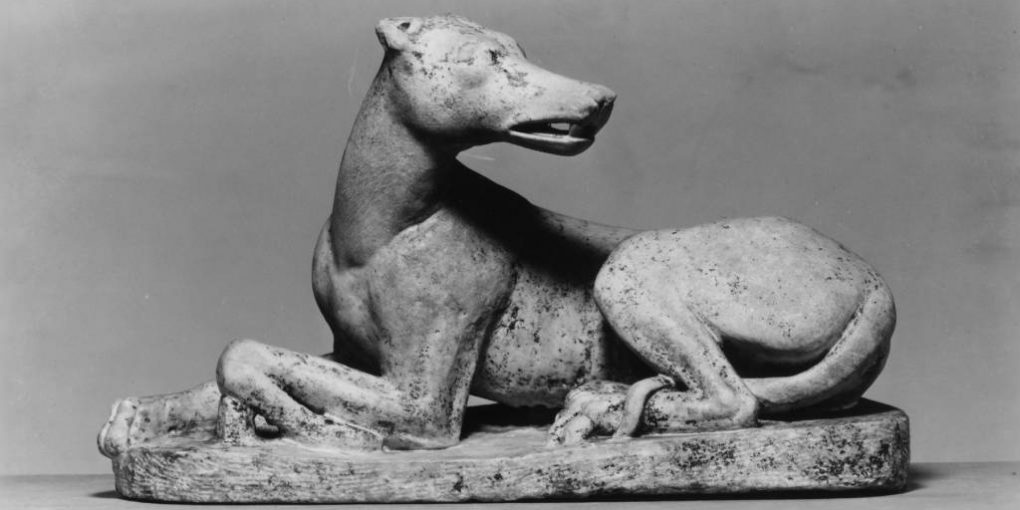 Origin of dog ancestors