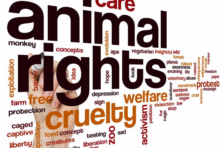 Animal Rights Image