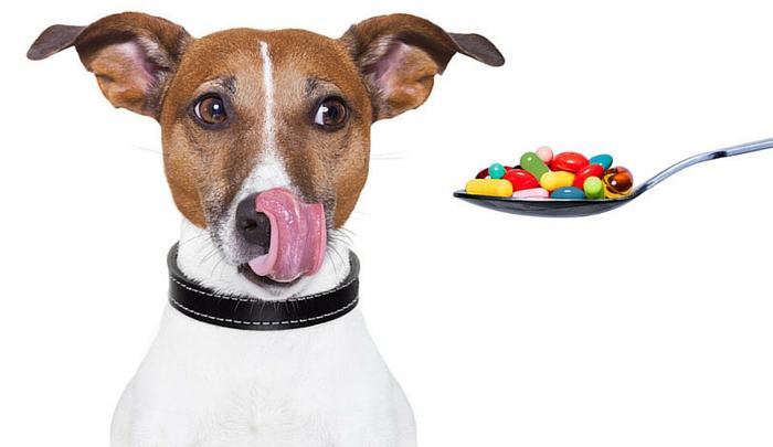 Benadryl for Dogs