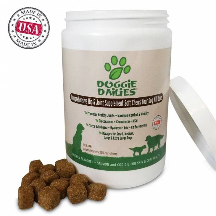 The Best Joint Supplement for Dogs (Keeping your Dog Mobile)