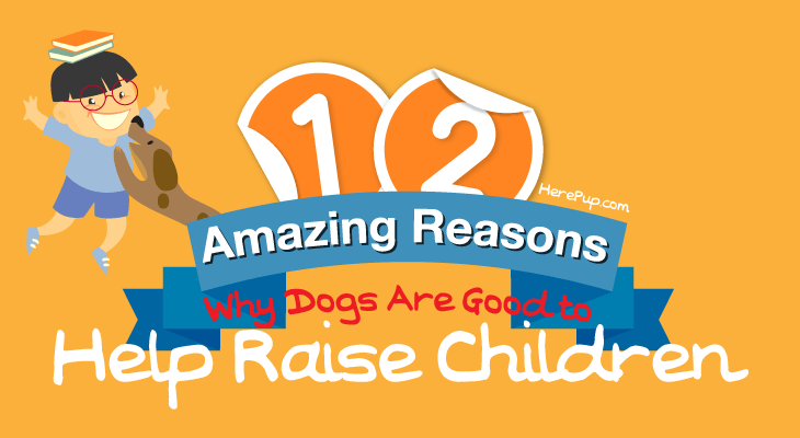 12 Amazing Reasons Why Dogs Are Good to Help Raise Children