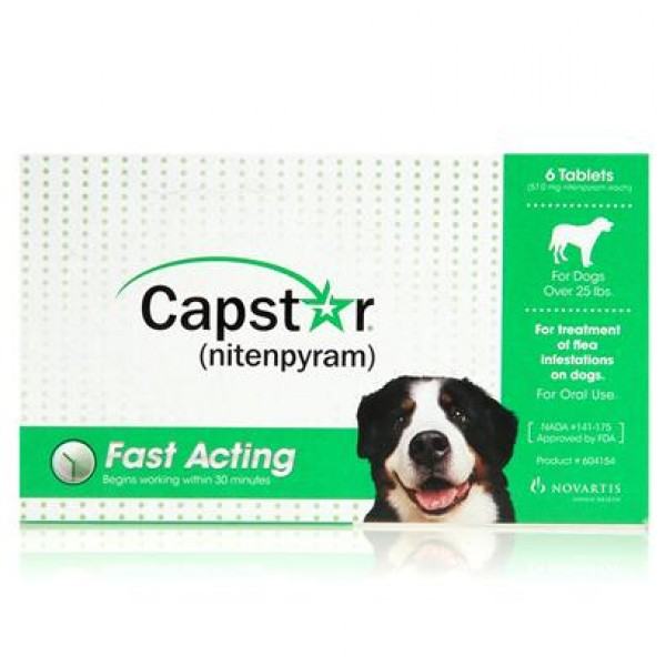 capstar flea killer