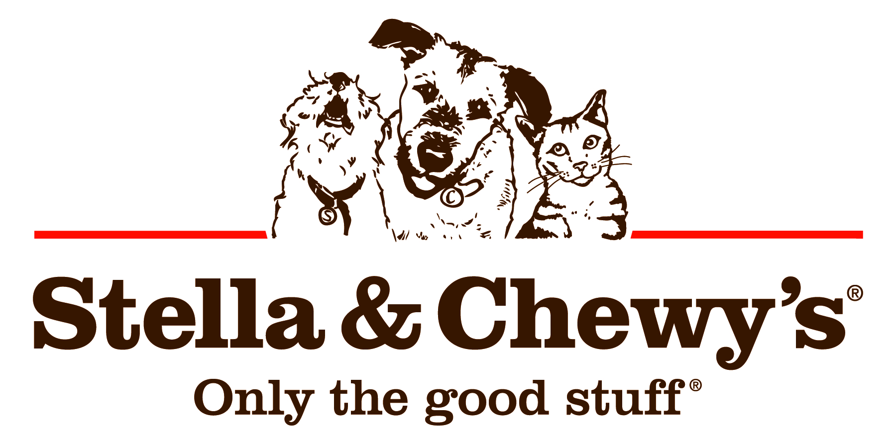 stella and chewy dog food reviews