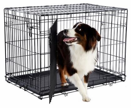 How To Crate Train A Puppy (plus 5 Excellent Crate Options) 