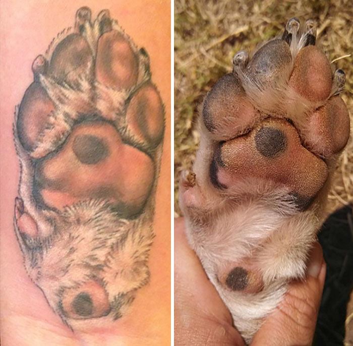 Dog Paw Tattoo And Dog