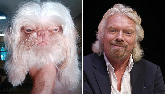 10 Animals That Look Exactly Like These Celebrities | Herepup