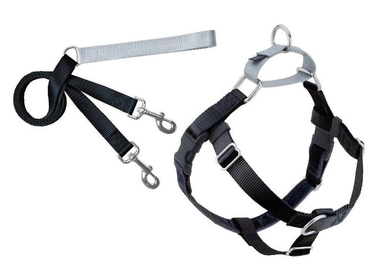 Best Leash for Dogs that Pull 5 Great Options to Reign in an Over