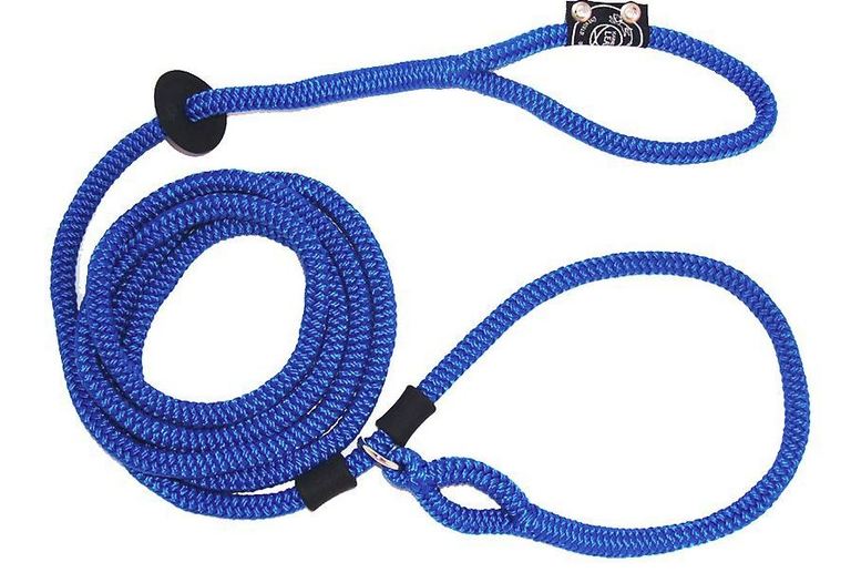 Best Leash for Dogs that Pull 5 Great Options to Reign in an Over