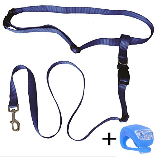 5 Best Dog Leash Picks For Running (Updated 2020 Review) Herepup