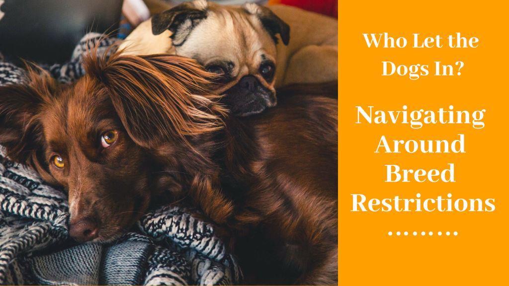 Who Let the Dogs In? Navigating Around Breed Restrictions