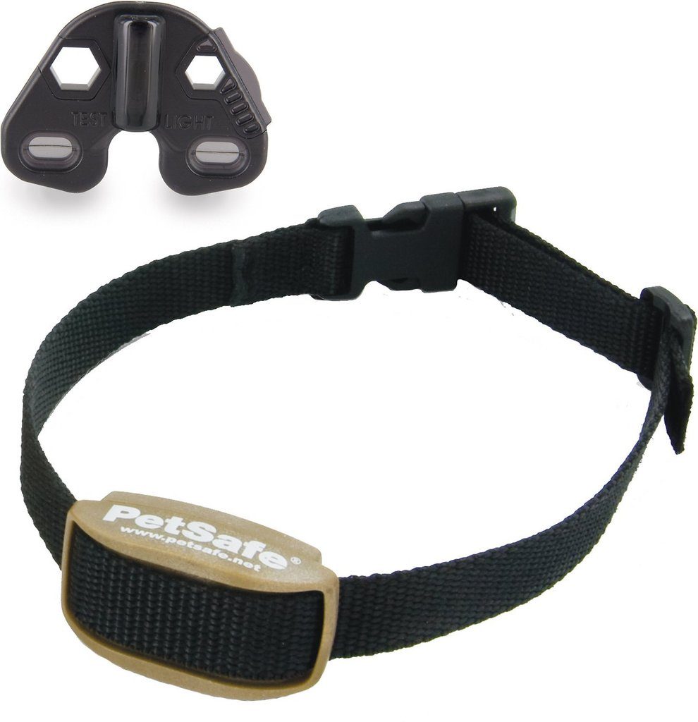 The Best Dog Training Collar Reviews 2020 Herepup