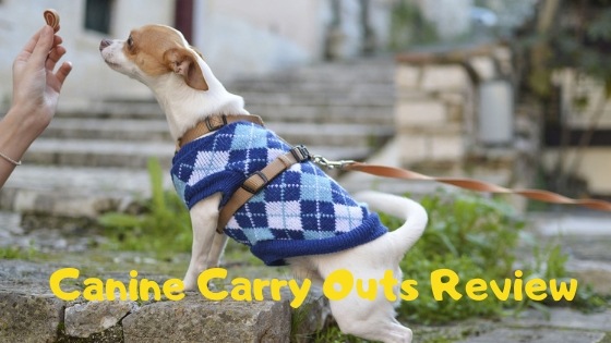 Canine Carry Outs Review: Best Brand of 