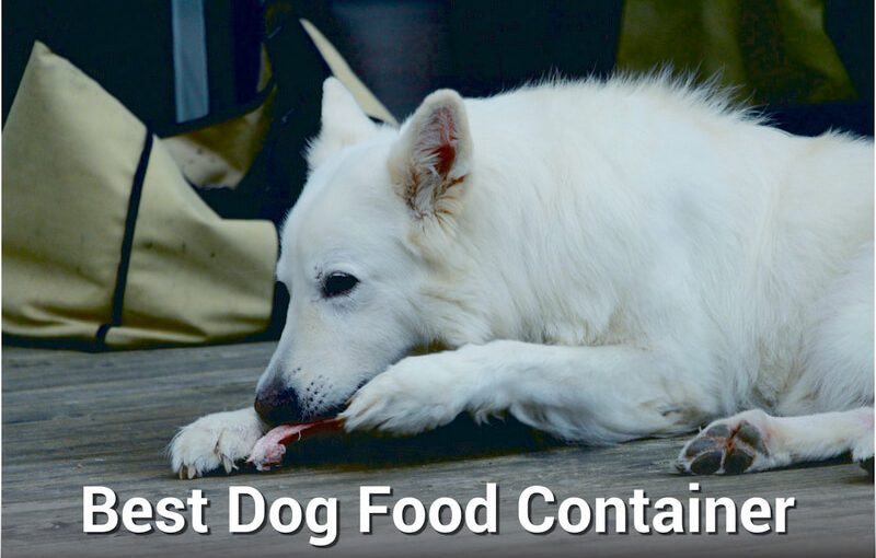 Best Dog Food Container