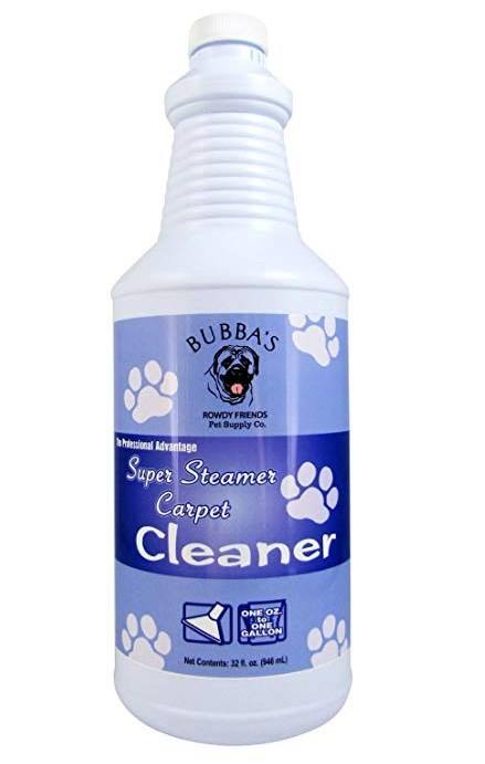 best dog odor remover