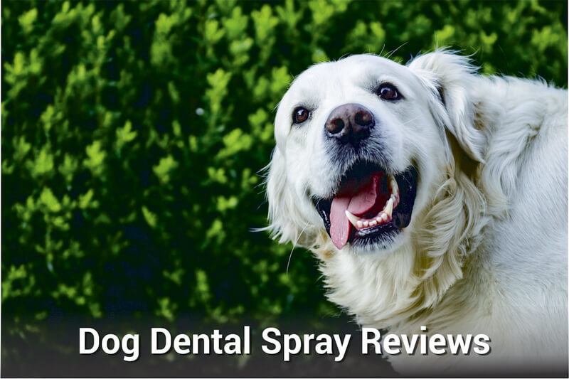 Dog Dental Spray Reviews