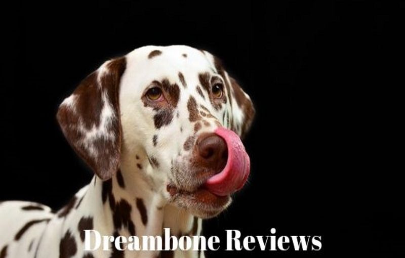 dreambone reviews