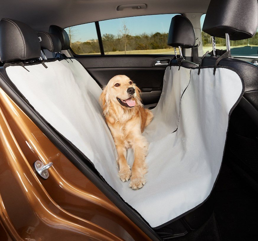 4 of the Best Dog Hammocks (REVIEWS) Herepup