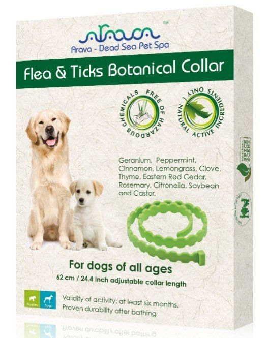 Best Flea Collar for Dogs Stop The Scratching!
