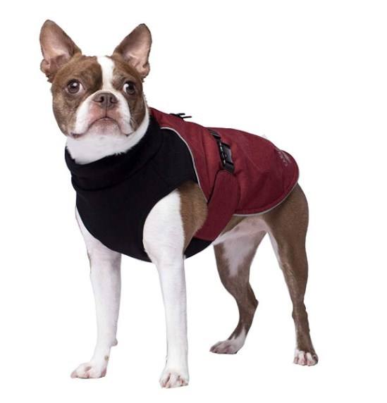 best jackets for dogs