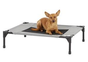 Best Raised Dog Bed: 5 Orthopedic Elevated Dog Beds (2020) | Herepup