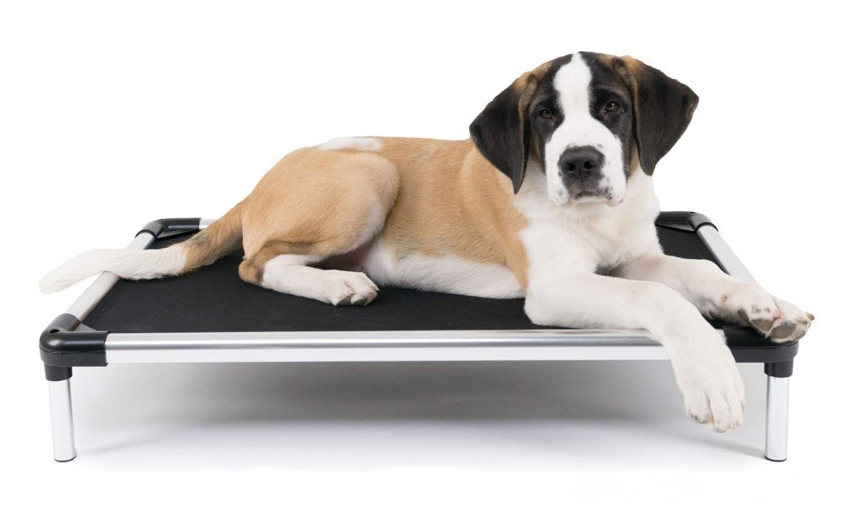 Best Raised Dog Bed 5 Orthopedic Elevated Dog Beds (2020) Herepup