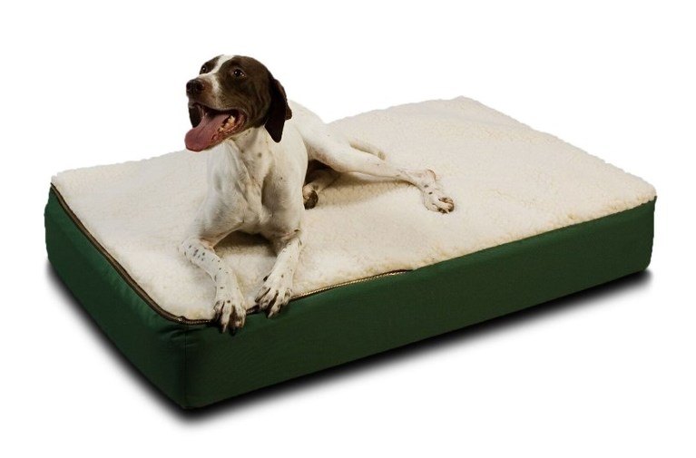 Best Dog Beds for Older Dogs (Keeping Your Companion Comfy) Herepup