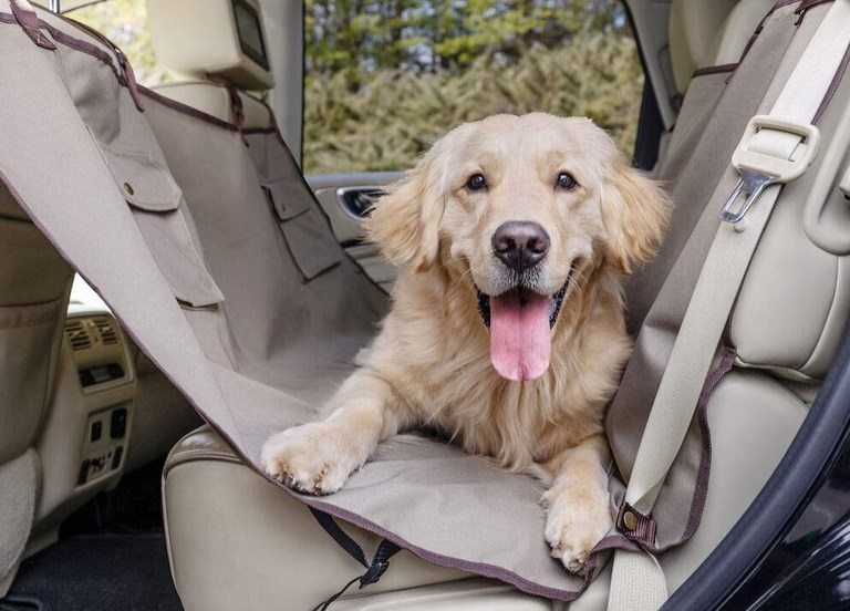 4 of the Best Dog Hammocks (REVIEWS) Herepup