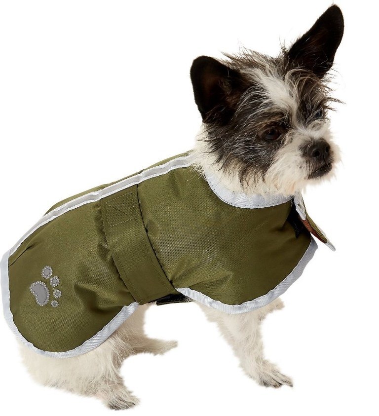 Best Dog Jackets 5 Stylish & Practical (Second) Coats Herepup