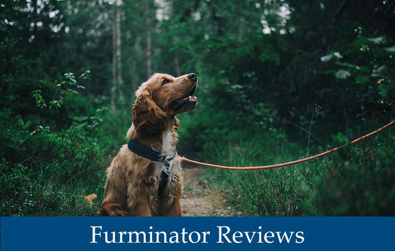 Furminator Reviews