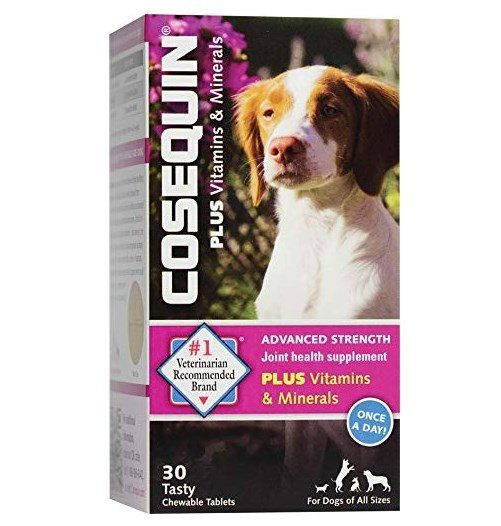 What Are The Best Dog Vitamins? Reviews & Ratings! Herepup