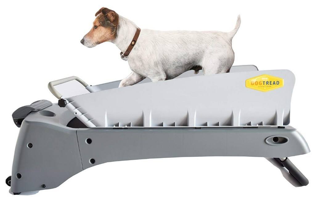 Best Dog Treadmills Reviews of 5 Good (& SAFE) Options Herepup