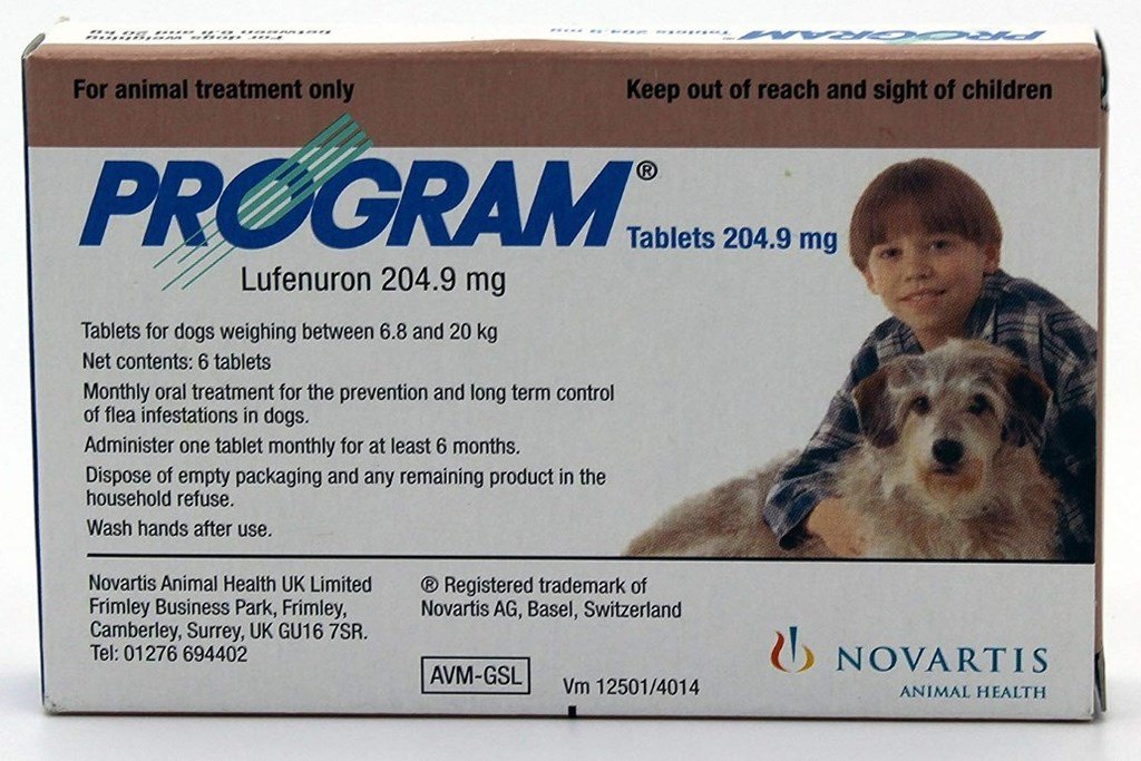 Best Oral Flea Treatment For Dogs All You Need to Know Herepup