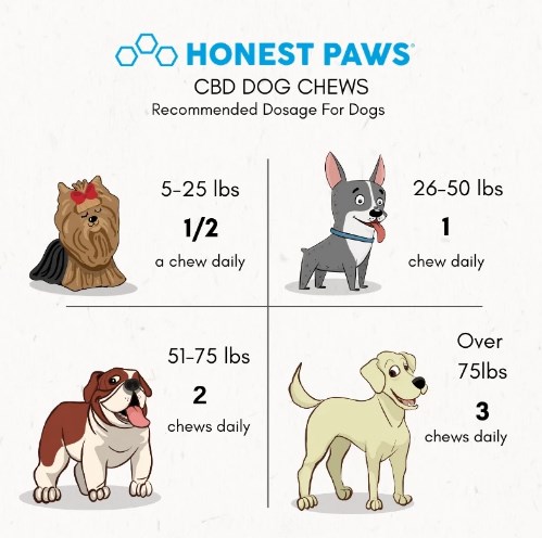 cbd dosage honest paws