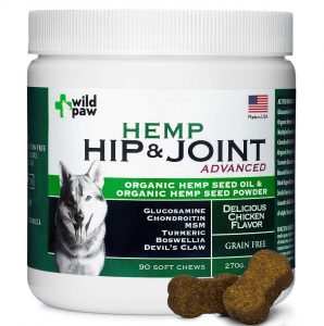 The Best CBD Dog Treats: Supplements for Relieving Stress, Anxiety, and ...