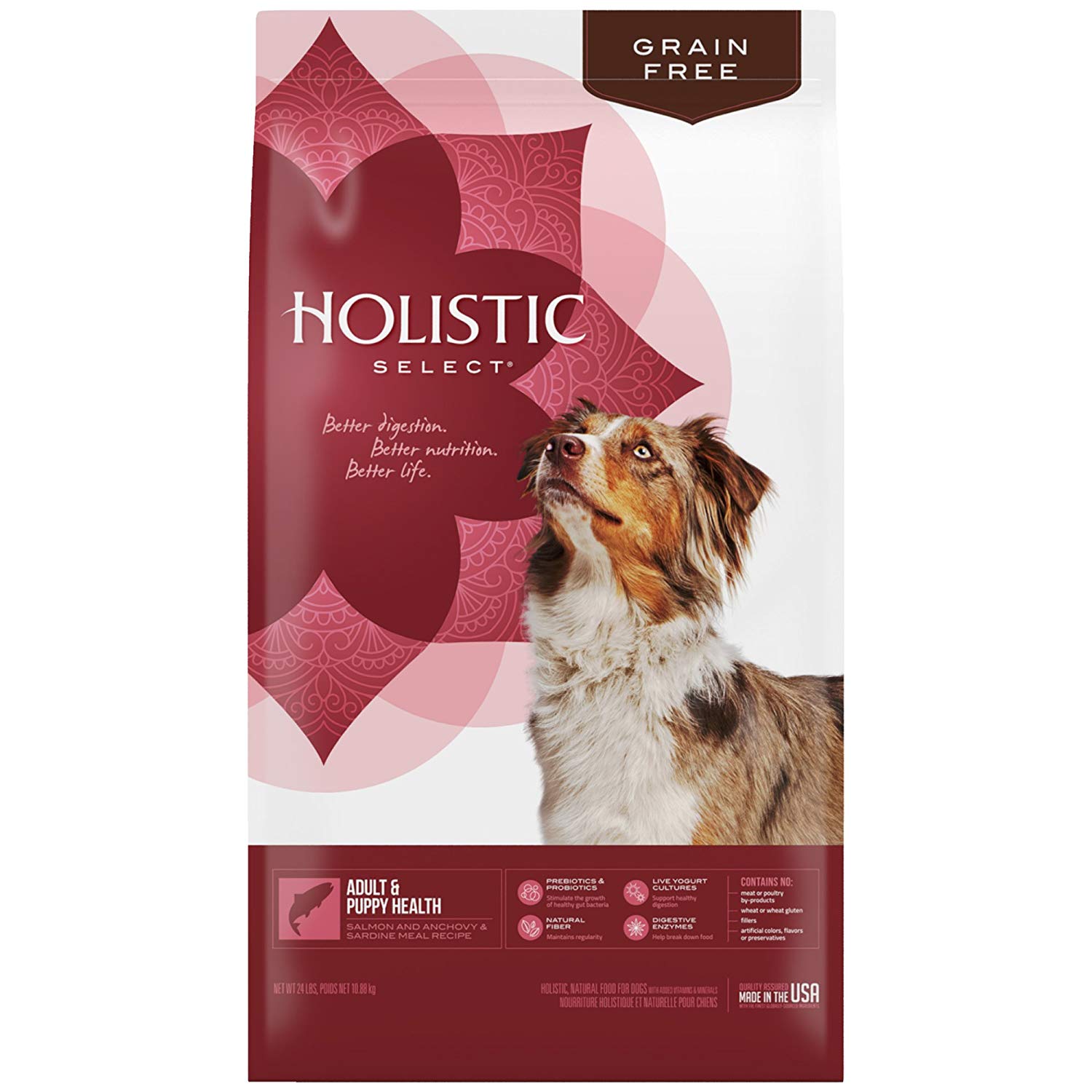 The Best Dog Food For Schnauzers Feeding Your Lovable Friend Herepup