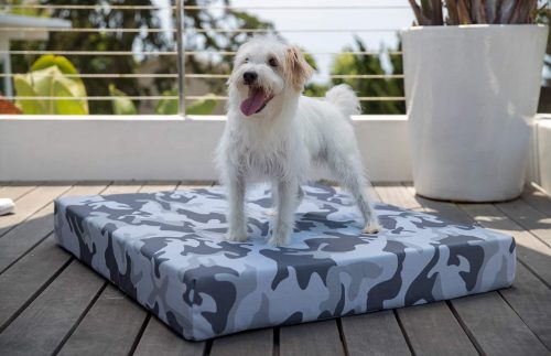 outdoors dog beds