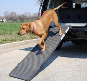 petstep dog ramp