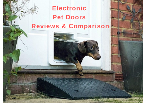 ᐉ Best Automatic Dog Doors For 2020 Detailed Reviews