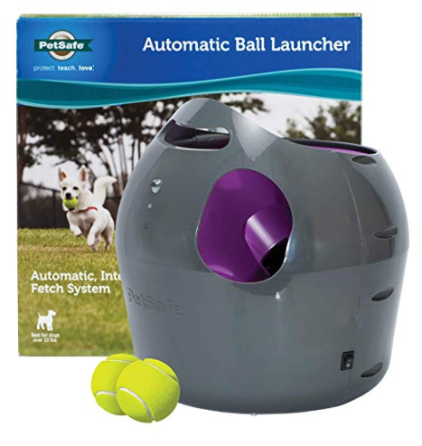 self launching dog toy